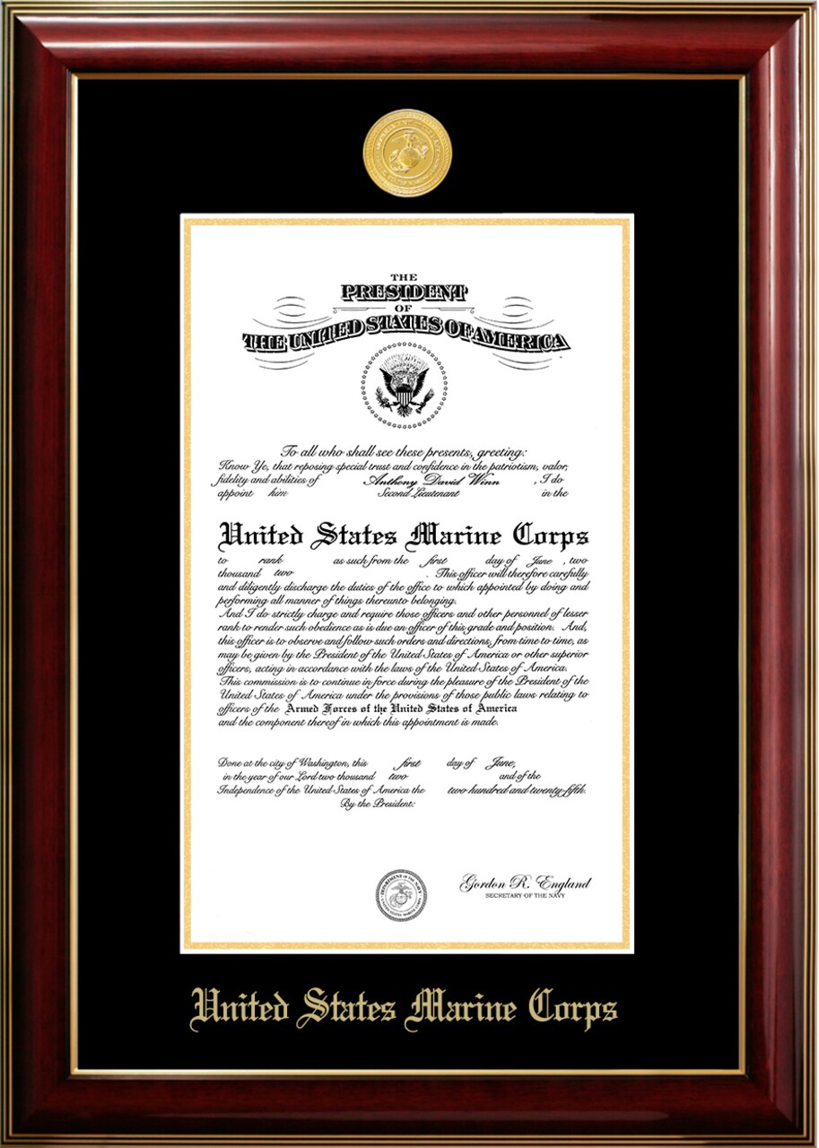 Patriot Frames Marine 10x14 Certificate Classic Mahogany Frame with Gold Medallion